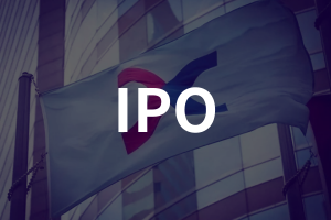 宁波德业科技递表港交所，冲击全球户用储能逆变器第一股